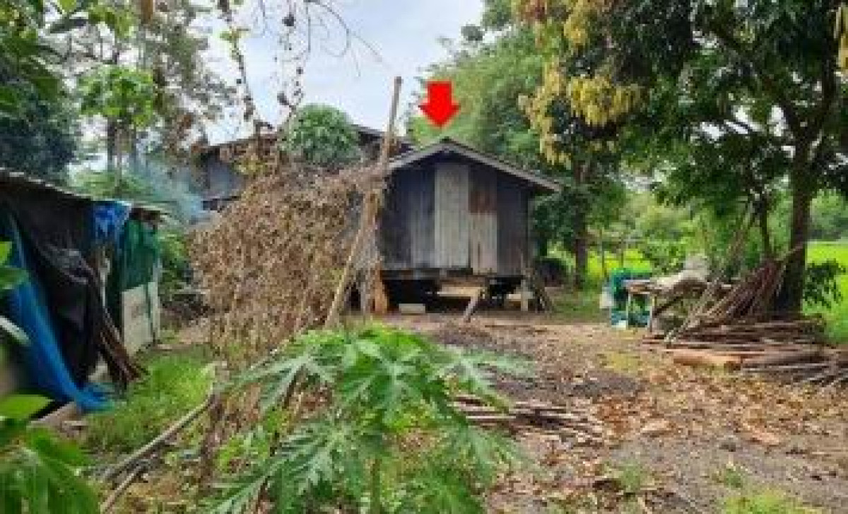 บ้านเดี่ยว พิษณุโลก พรหมพิราม วังวน 102380