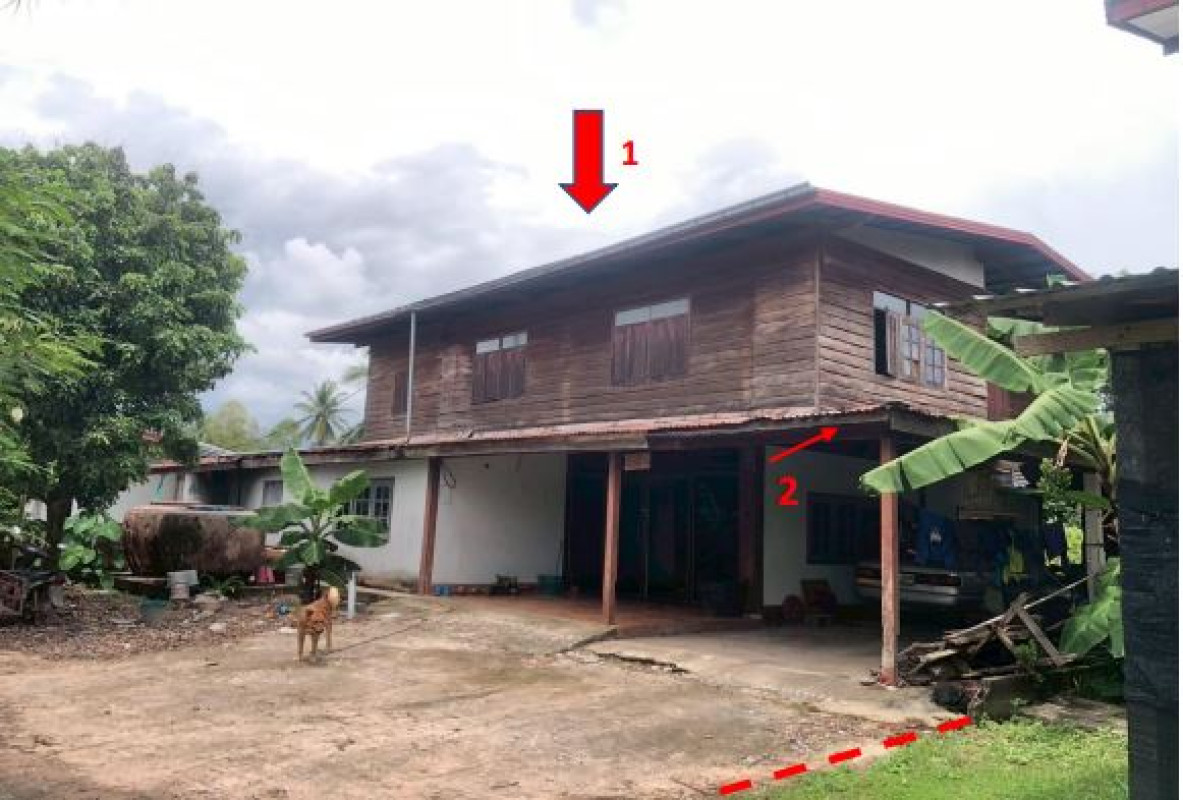 บ้านเดี่ยว อุดรธานี บ้านผือ กลางใหญ่ 808552