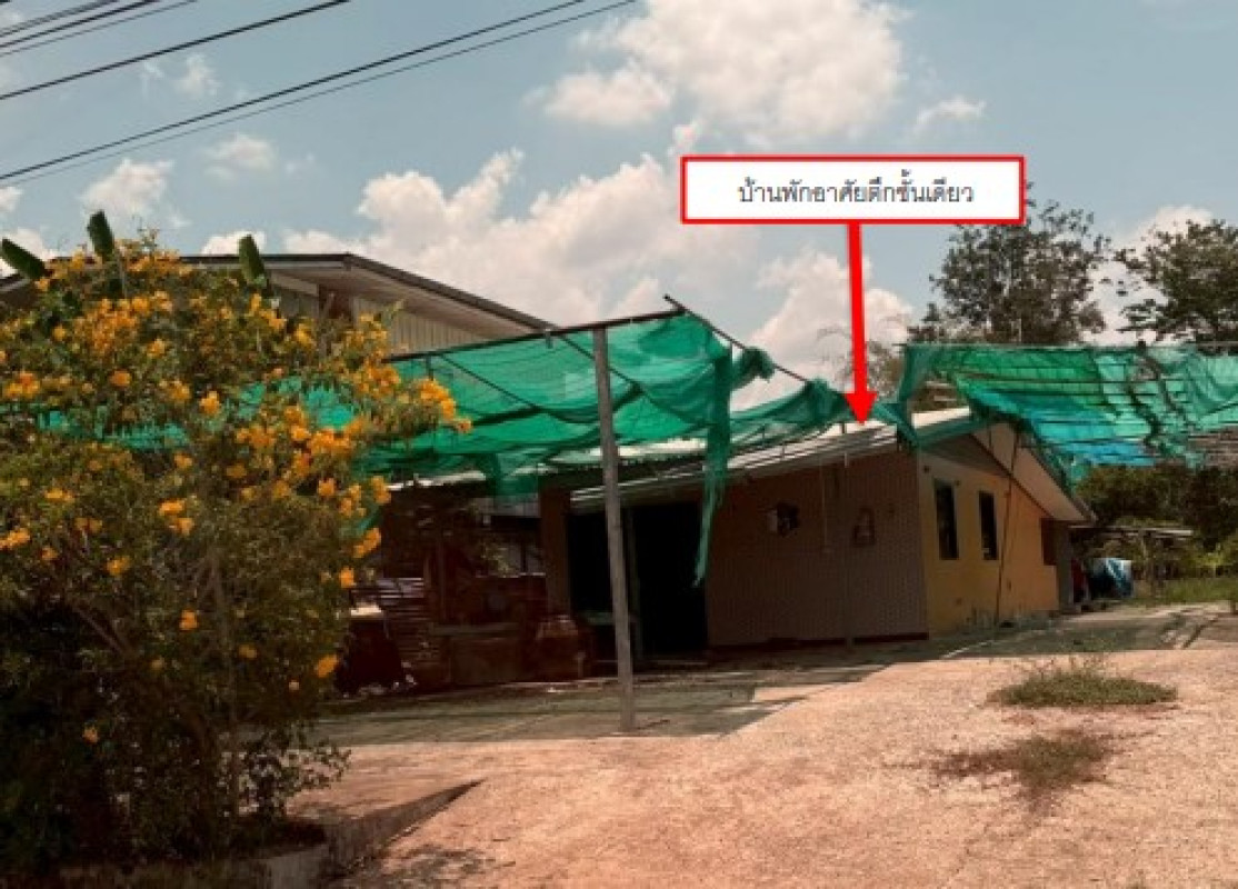 บ้านเดี่ยว พิษณุโลก วังทอง ชัยนาม 1013472