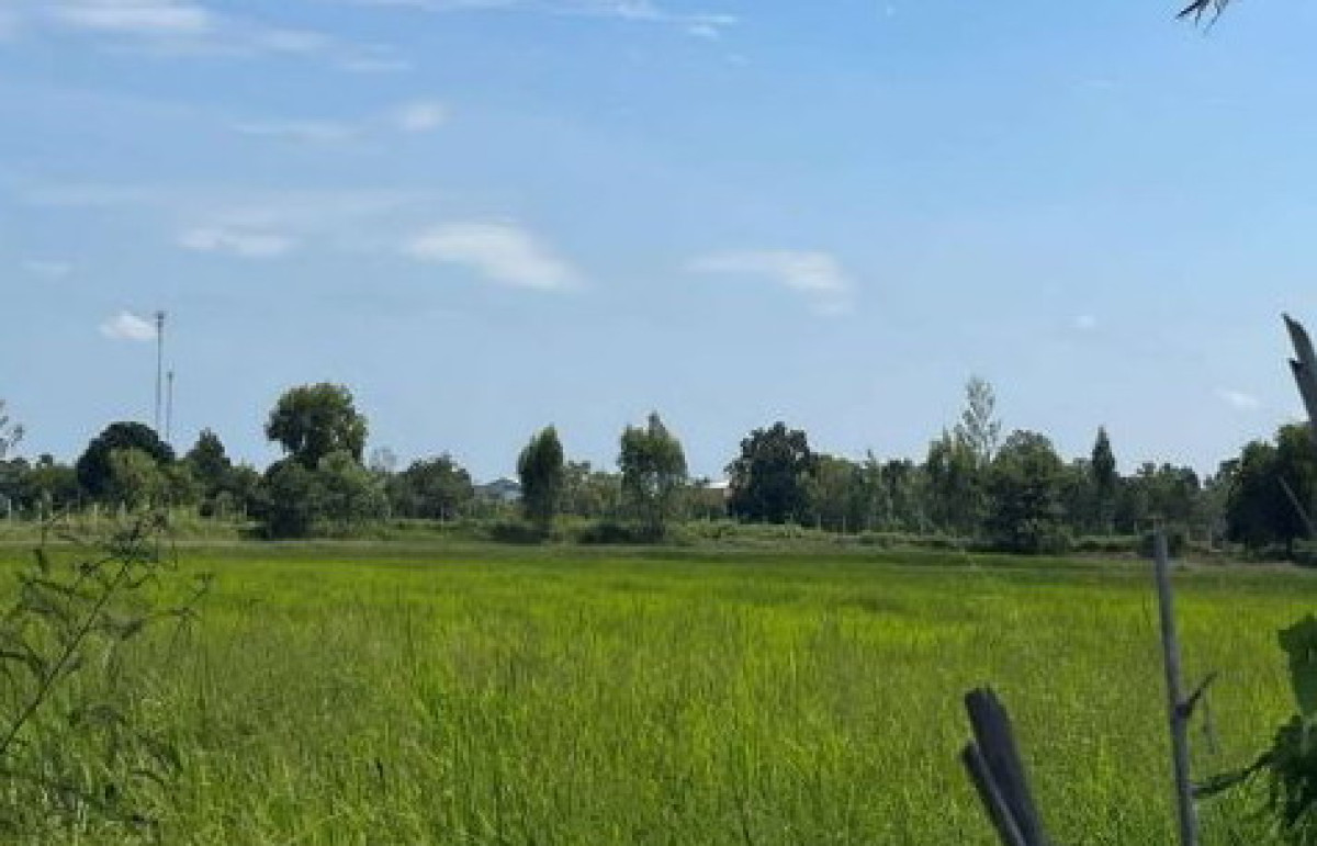 Residential land/lot Maha Sarakham Na Dun Dong Bang 457500