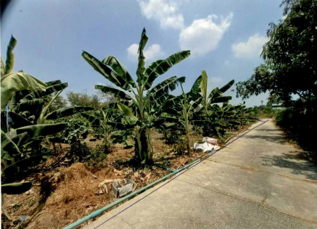 Residential land/lot Phra Nakhon Si Ayutthaya Phra Nakhon Si Ayutthaya Suan Phrik 300000