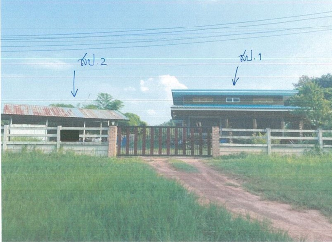 บ้านเดี่ยว อุดรธานี ศรีธาตุ ศรีธาตุ 830090