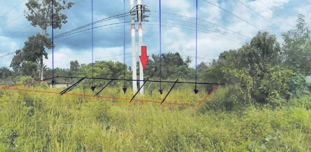 ที่ดินเปล่า สุราษฎร์ธานี ชัยบุรี สองแพรก 511910