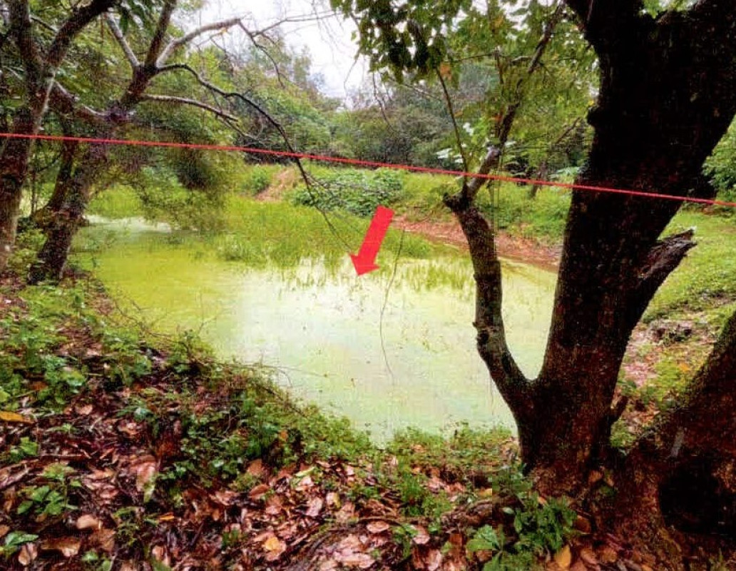 ที่ดินเปล่า สุรินทร์ เมืองสุรินทร์ เพี้ยราม 11250