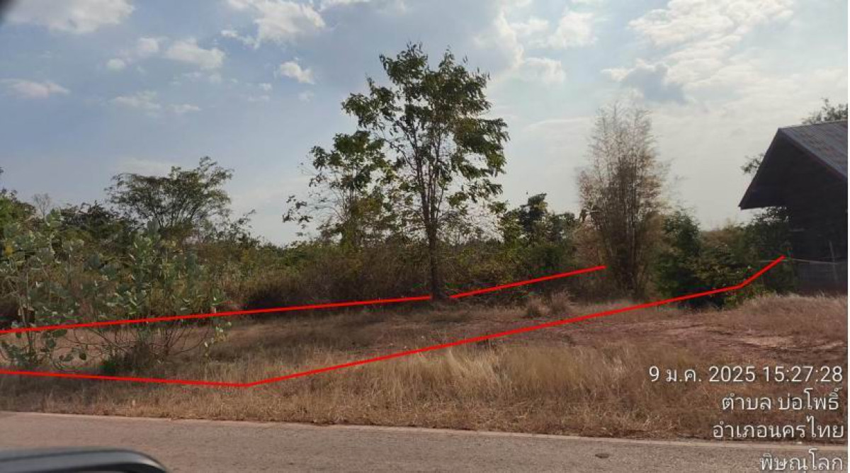 ที่ดินเปล่า พิษณุโลก นครไทย บ่อโพธิ์ 243720