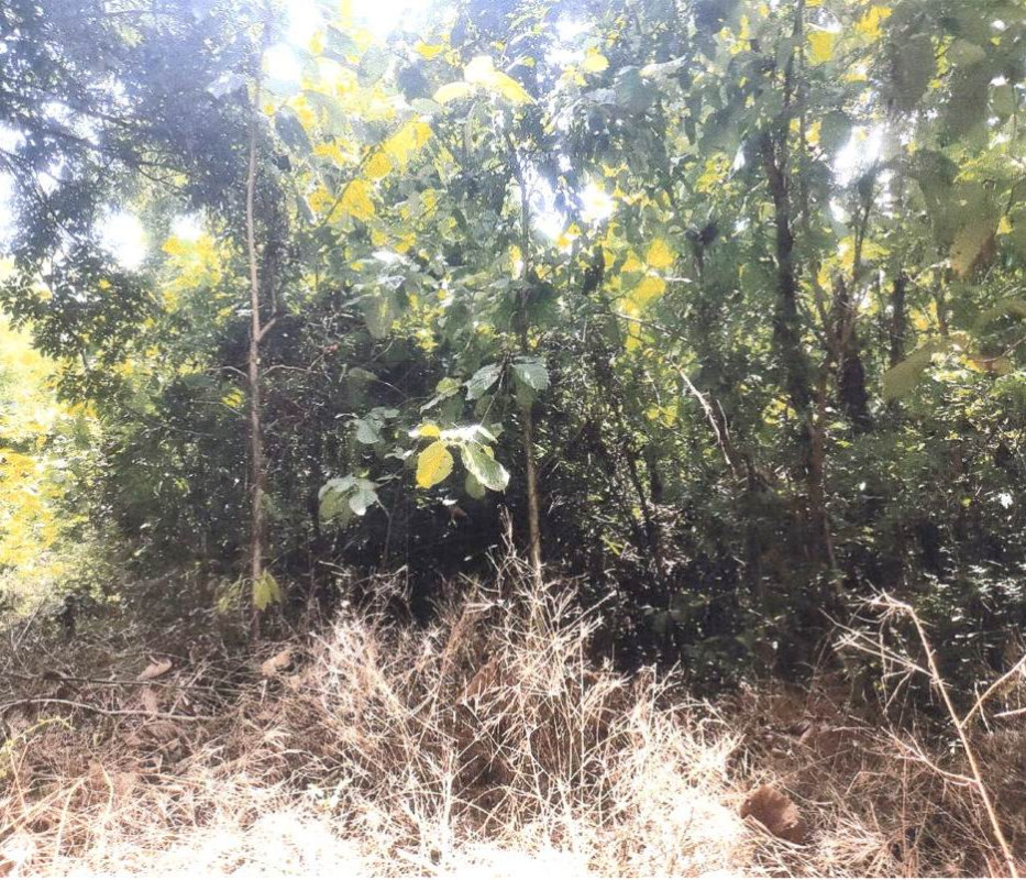 ที่ดินเปล่า แพร่ ลอง หัวทุ่ง 119550