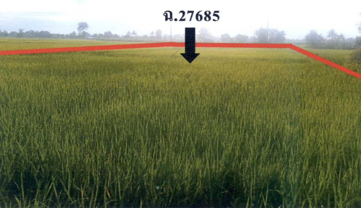 ที่ดินเปล่า เชียงใหม่ ฝาง เวียง 571200