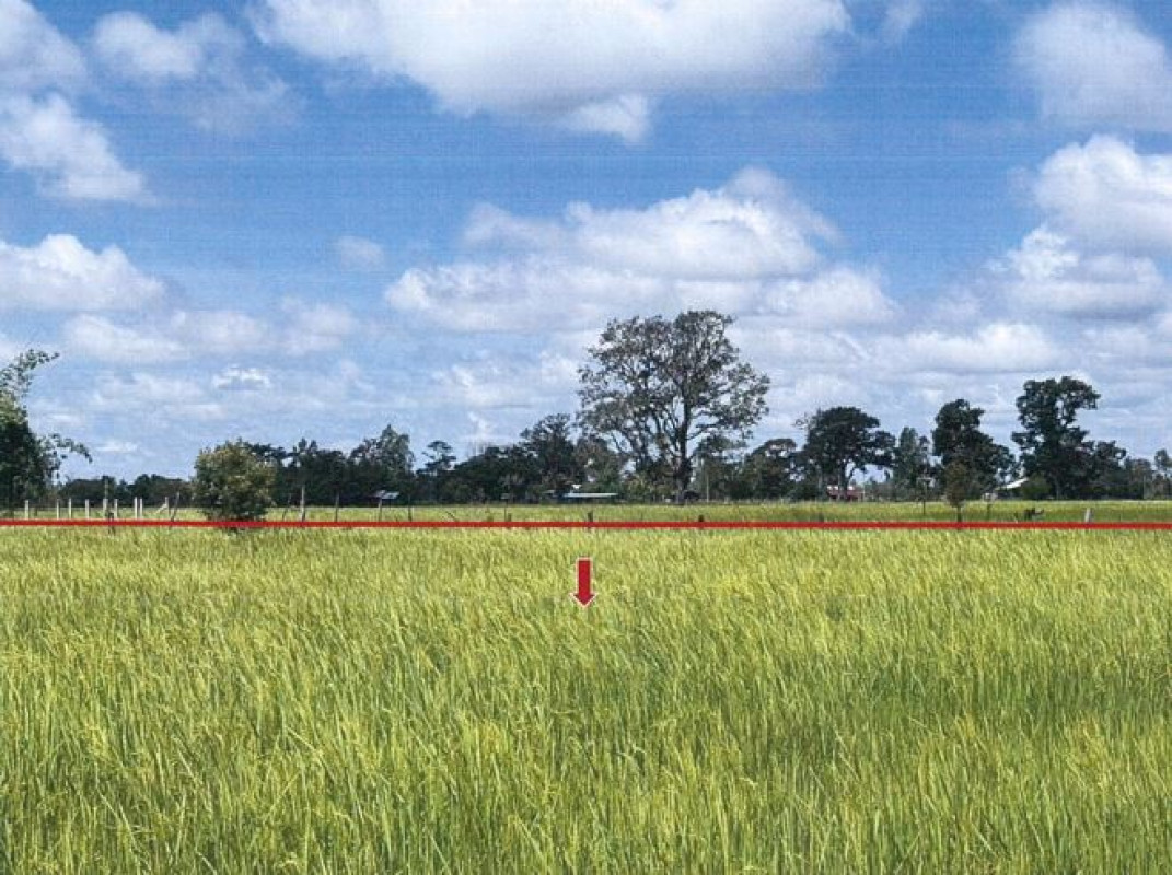 ที่ดินเปล่า ร้อยเอ็ด โพนทราย ท่าหาดยาว 288530