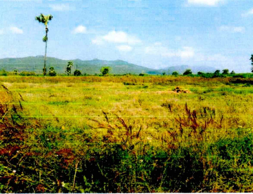 ที่ดินเปล่า ลำปาง แม่ทะ แม่ทะ 156400