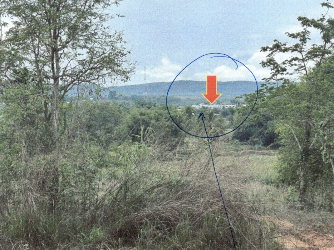 ที่ดินเปล่า เลย นาด้วง นาด้วง 45900