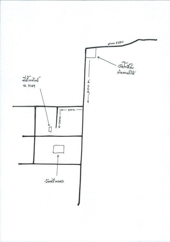 ที่ดินเปล่า เลย วังสะพุง ผาบิ้ง 11700