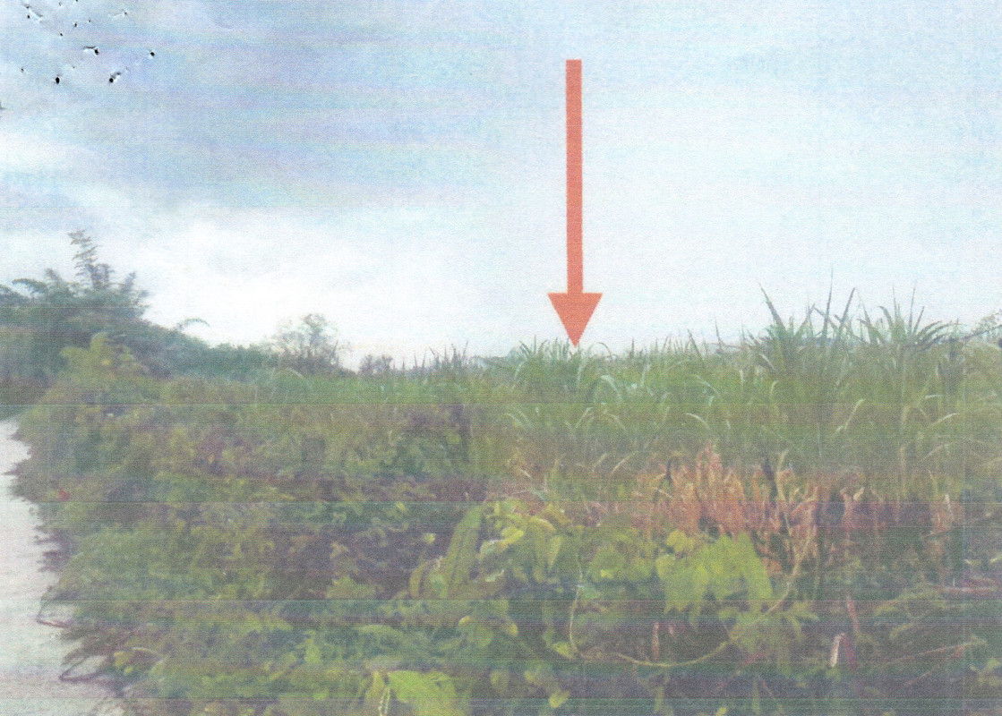 ที่ดินเปล่า เลย เมืองเลย นาดินดำ 2160210