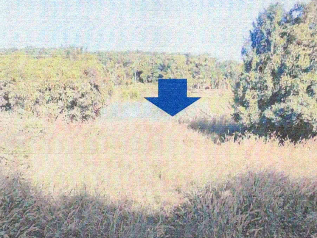 ที่ดินเปล่า เลย เชียงคาน นาซ่าว 1046150