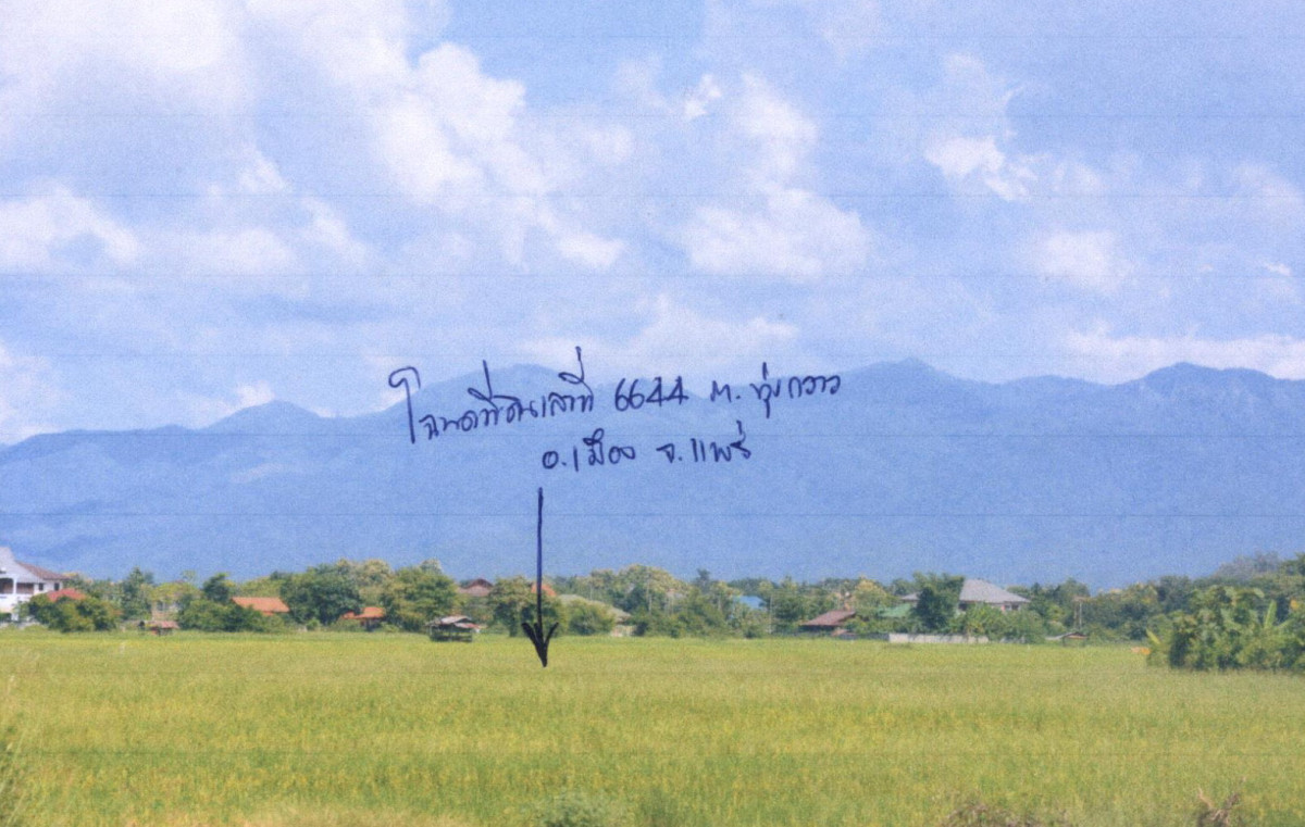 ที่ดินเปล่า แพร่ เมืองแพร่ ทุ่งกวาว 294000