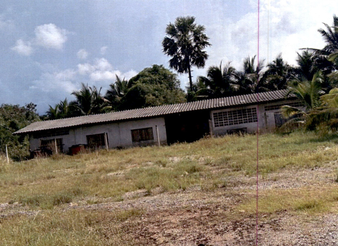 บ้านเดี่ยว สุราษฎร์ธานี กาญจนดิษฐ์ ตะเคียนทอง 1321840