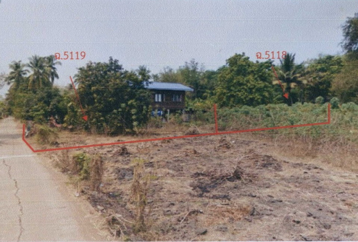 ที่ดินเปล่า พิจิตร ทับคล้อ ทับคล้อ 14875