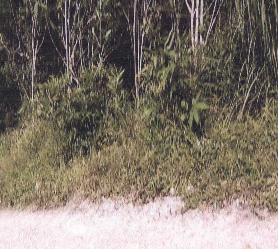 ที่ดินเปล่า ยะลา กาบัง กาบัง 985120