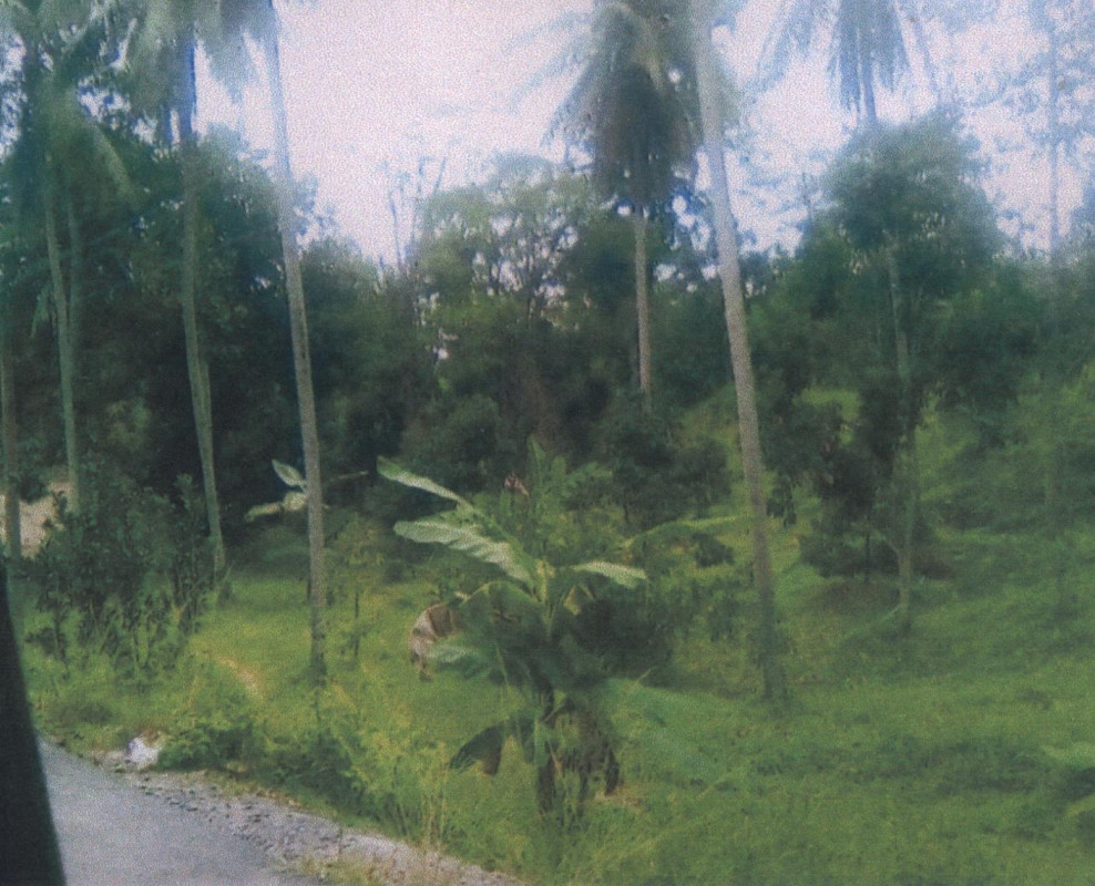 ที่ดินเปล่า ยะลา ยะหา ปะแต 937755