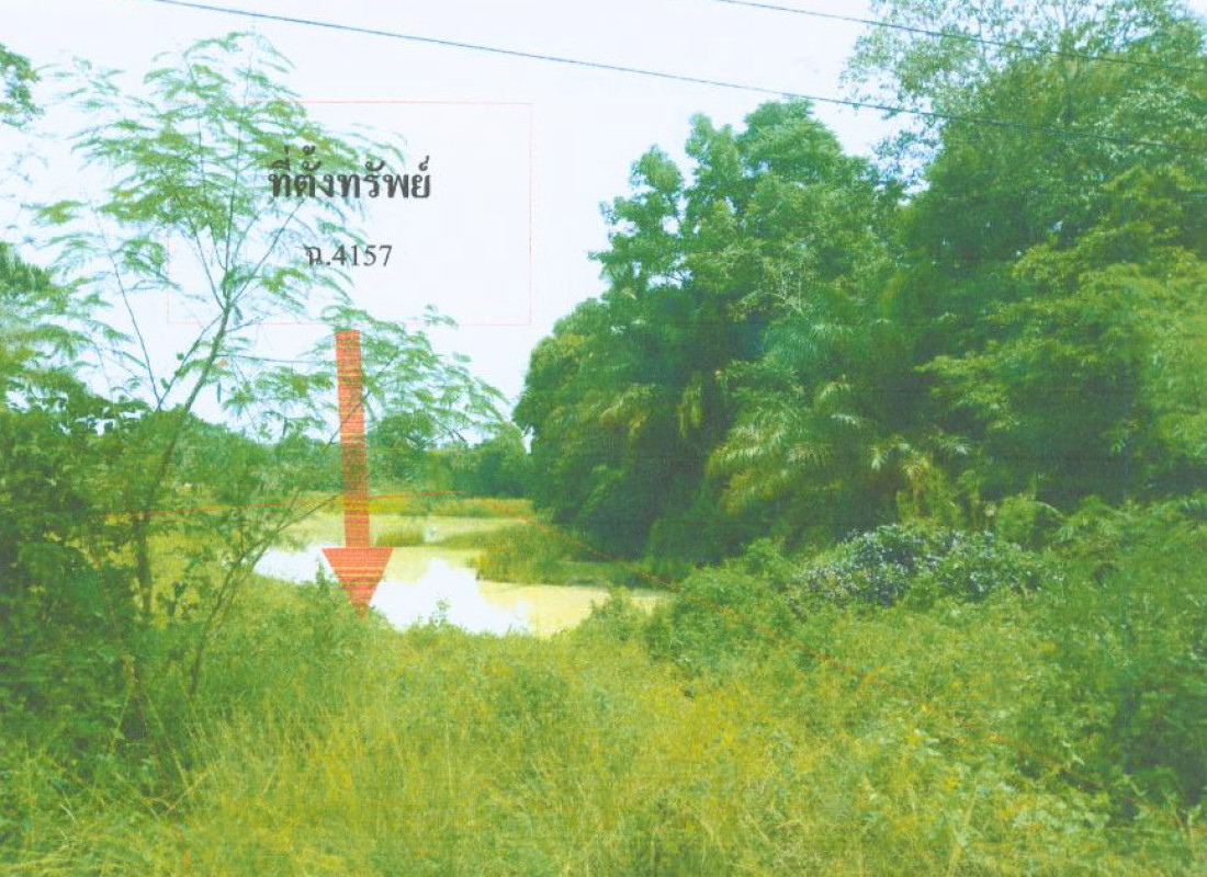 ที่ดินเปล่า นครศรีธรรมราช ชะอวด บ้านตูล 321555