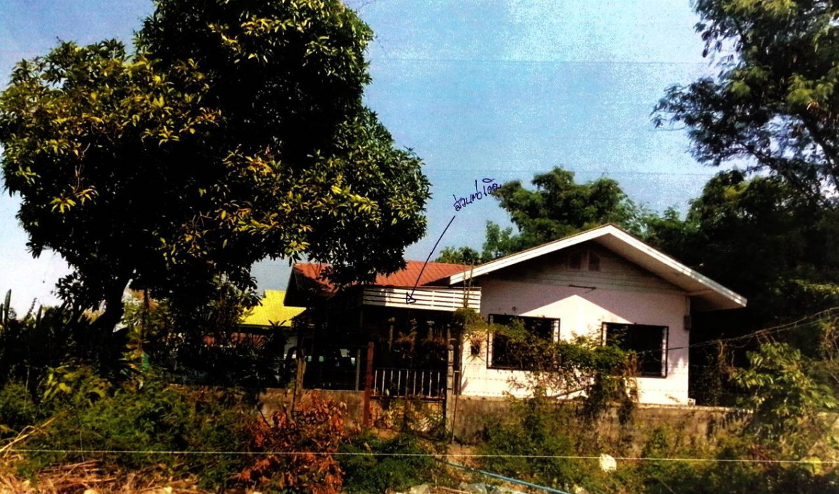 บ้านเดี่ยว พิษณุโลก วังทอง วังทอง 986640