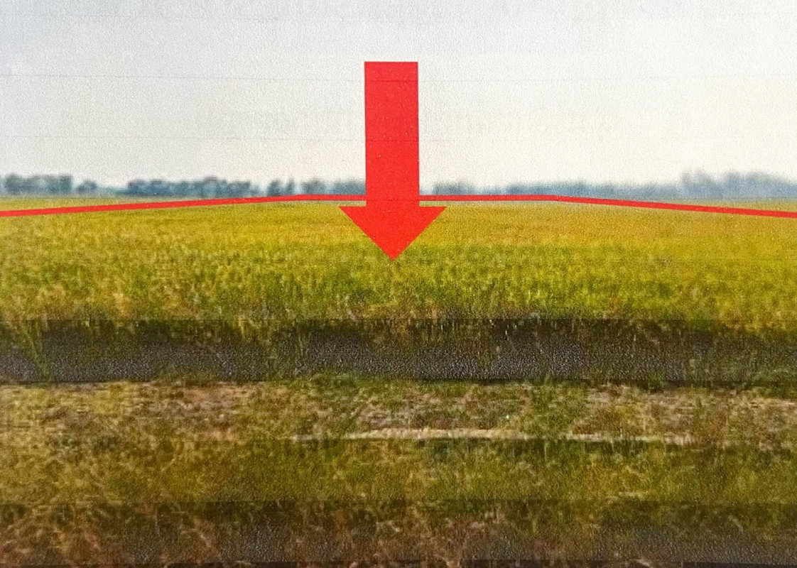 ที่ดินเปล่า พิษณุโลก พรหมพิราม หอกลอง 1302600