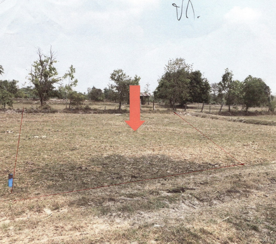 ที่ดินเปล่า อุบลราชธานี เหล่าเสือโก้ก หนองบก 58500