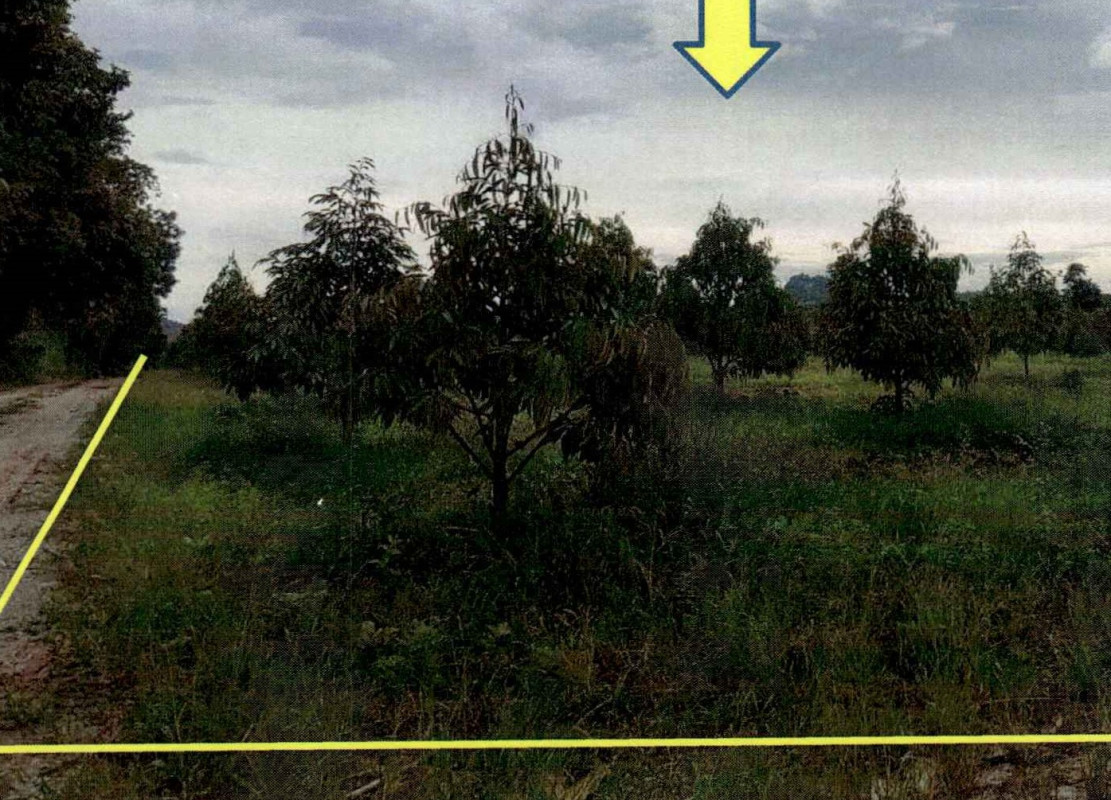 บ้านเดี่ยว เลย เอราวัณ เอราวัณ 748890