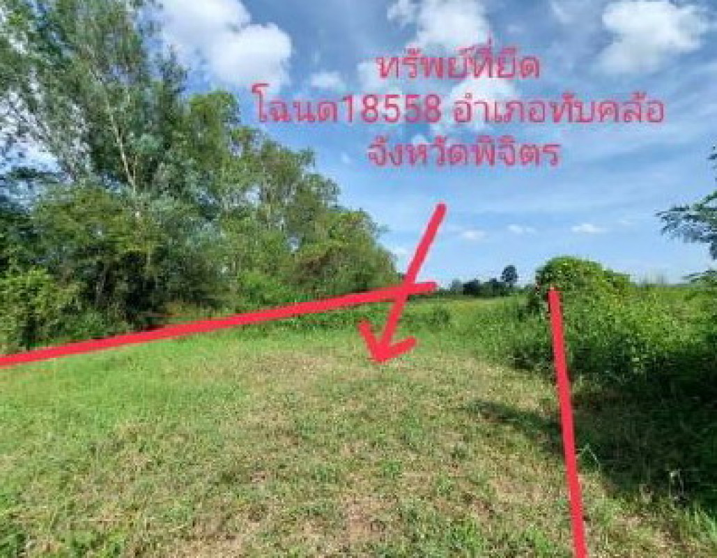 ที่ดินเปล่า พิจิตร ทับคล้อ ทับคล้อ 420000