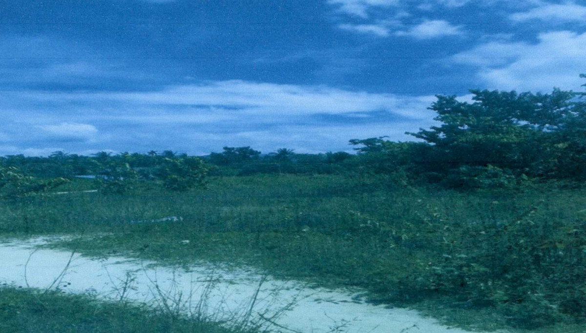 ที่ดินเปล่า ยะลา รามัน ตะโล๊ะหะลอ 75840