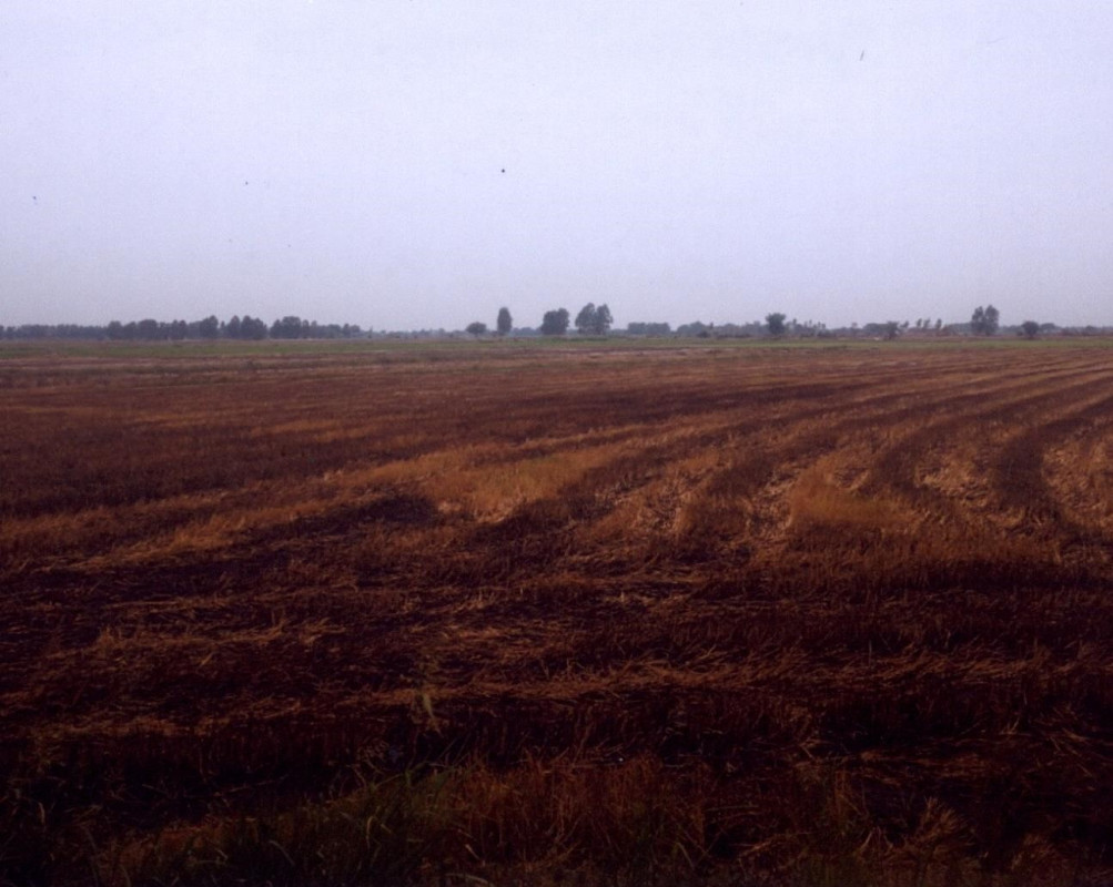 ที่ดินเปล่า ลพบุรี เมืองลพบุรี สี่คลอง 543900