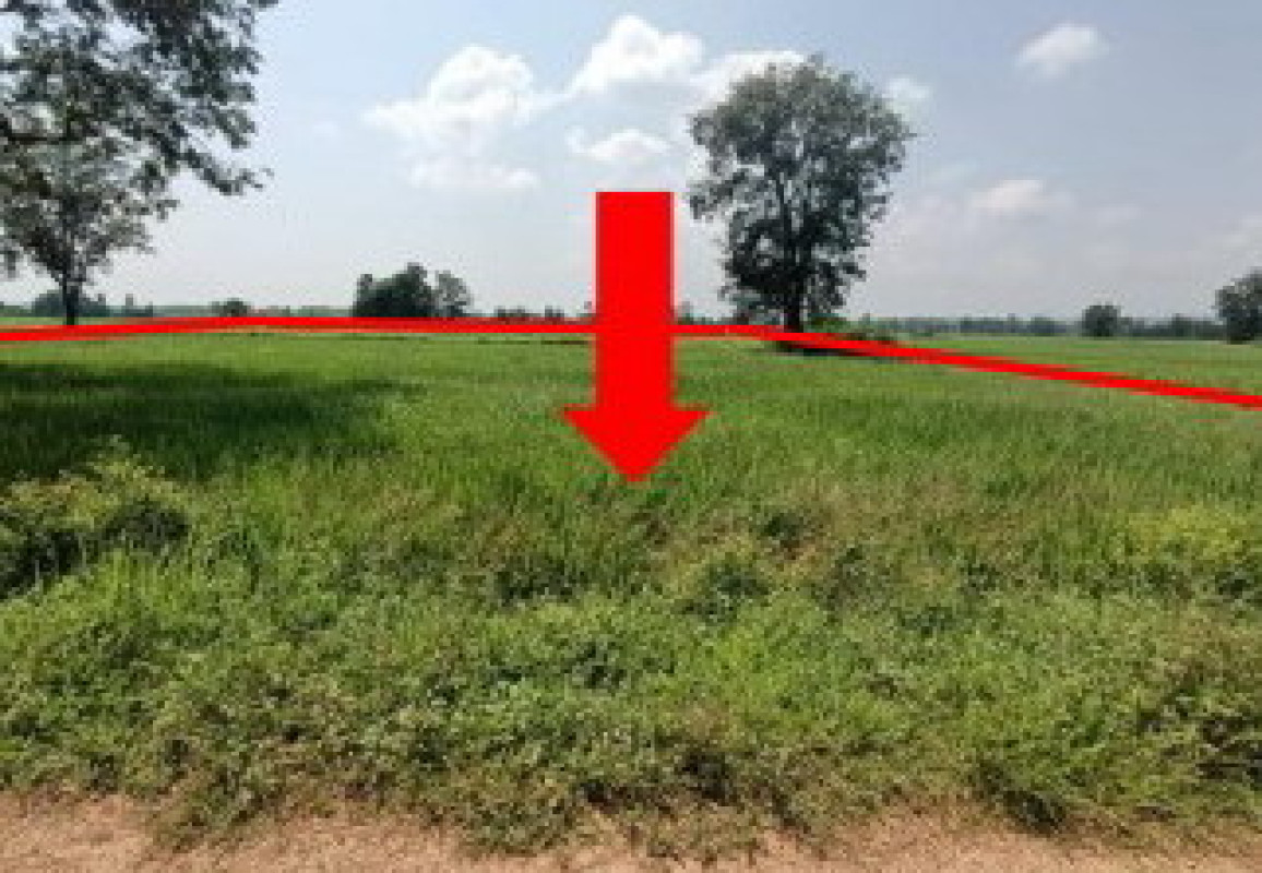 ที่ดินเปล่า พิษณุโลก วัดโบสถ์ หินลาด 1402840