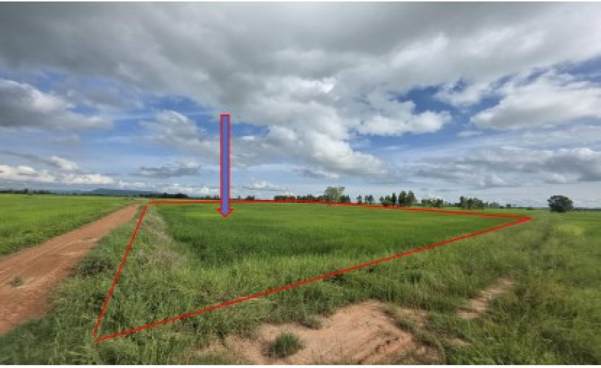 ที่ดินเปล่า พิษณุโลก วังทอง หนองพระ 749250