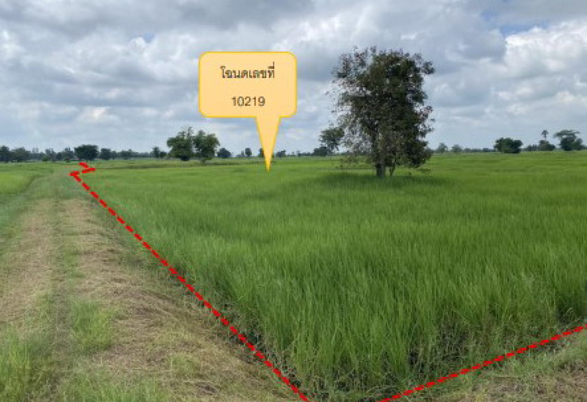ที่ดินเปล่า นครราชสีมา คง เทพาลัย 427765
