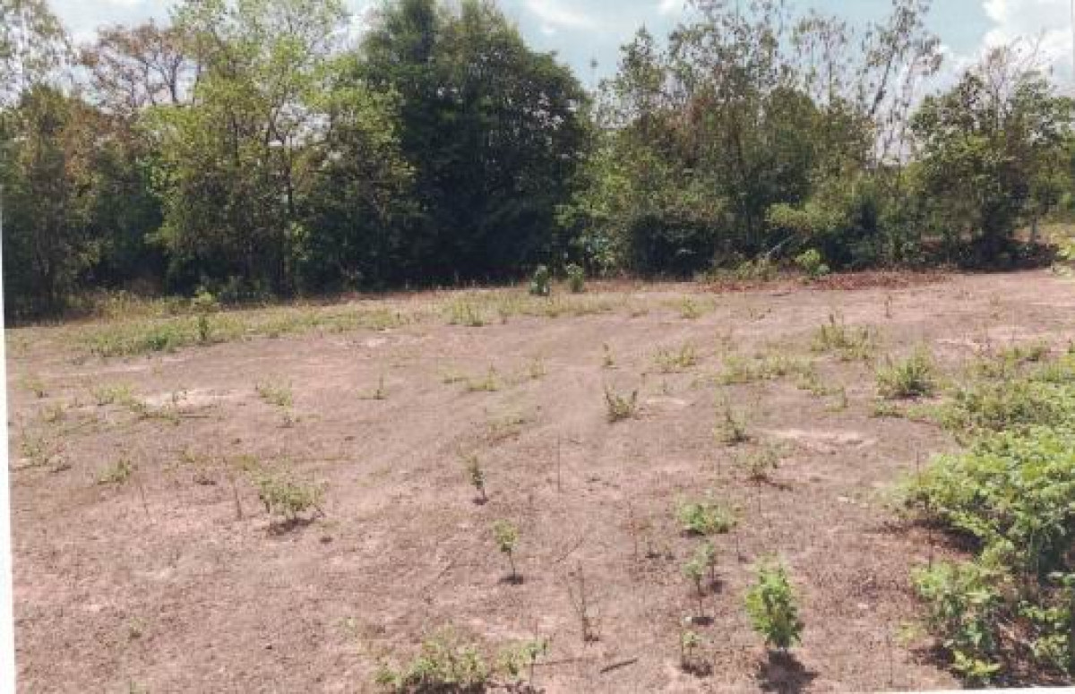 ที่ดินเปล่า ร้อยเอ็ด เสลภูมิ นาแซง 103100