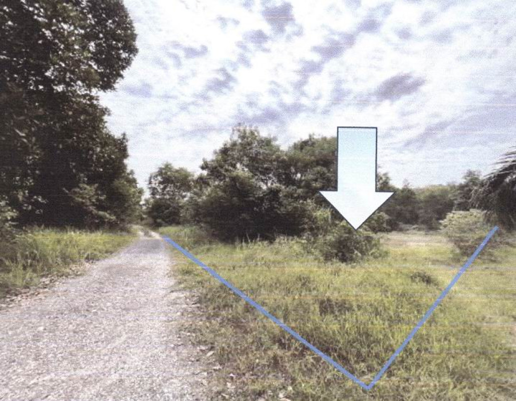 ที่ดินเปล่า พังงา ท้ายเหมือง ทุ่งมะพร้าว 10012050