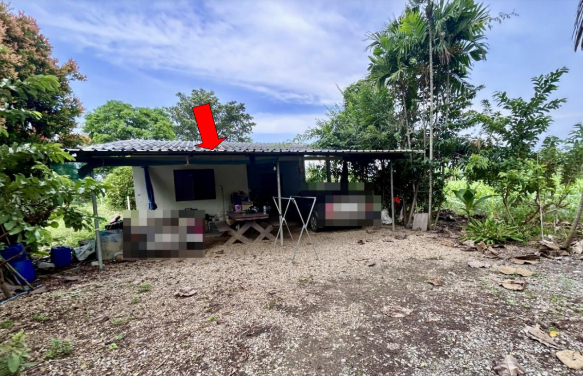 บ้านเดี่ยว นครปฐม กำแพงแสน ห้วยหมอนทอง 209360