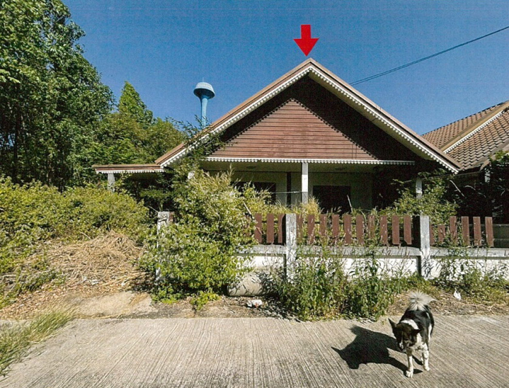 บ้านเดี่ยว ปราจีนบุรี ศรีมหาโพธิ หนองโพรง 669748