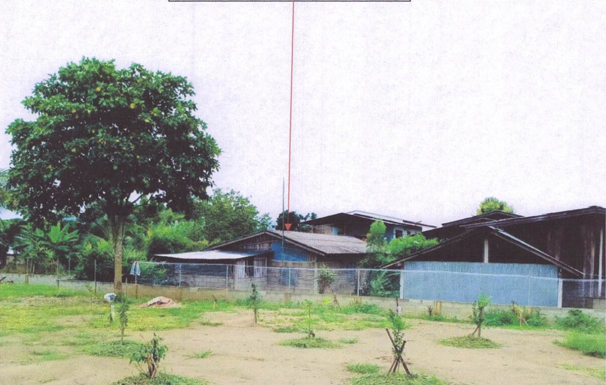 บ้านเดี่ยว เชียงราย แม่สรวย แม่พริก 252666