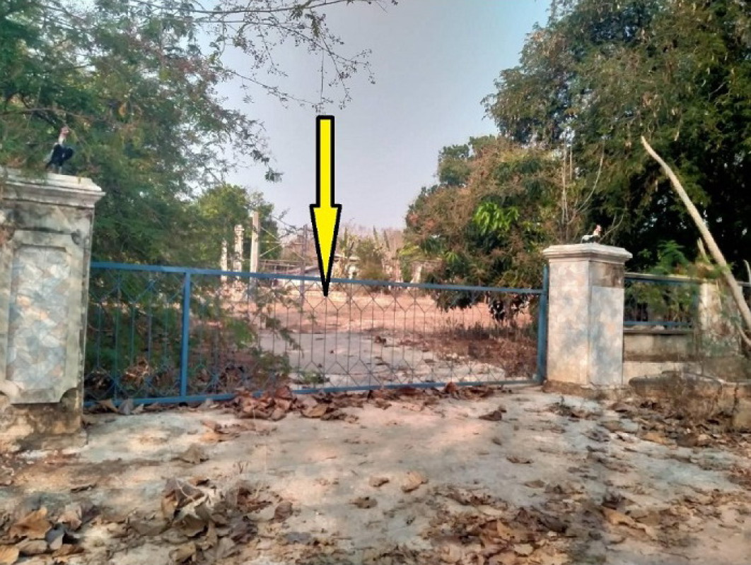 ที่ดินเปล่า เชียงราย พาน ทานตะวัน 329355