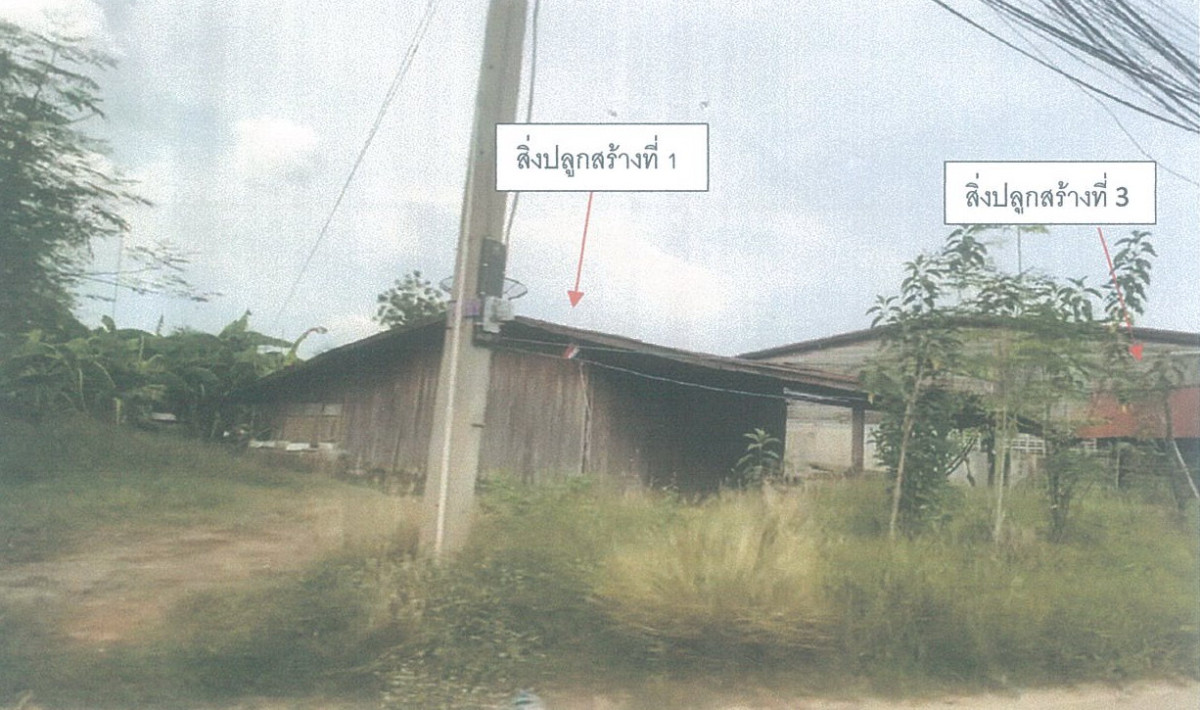 บ้านเดี่ยว ชัยนาท เนินขาม เนินขาม 86100