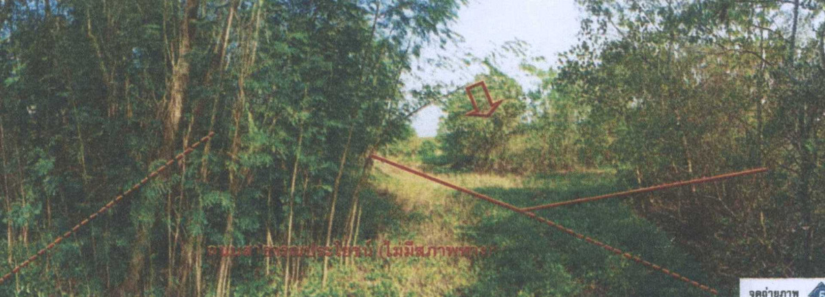 ที่ดินเปล่า ปัตตานี เมืองปัตตานี บานา 3919795