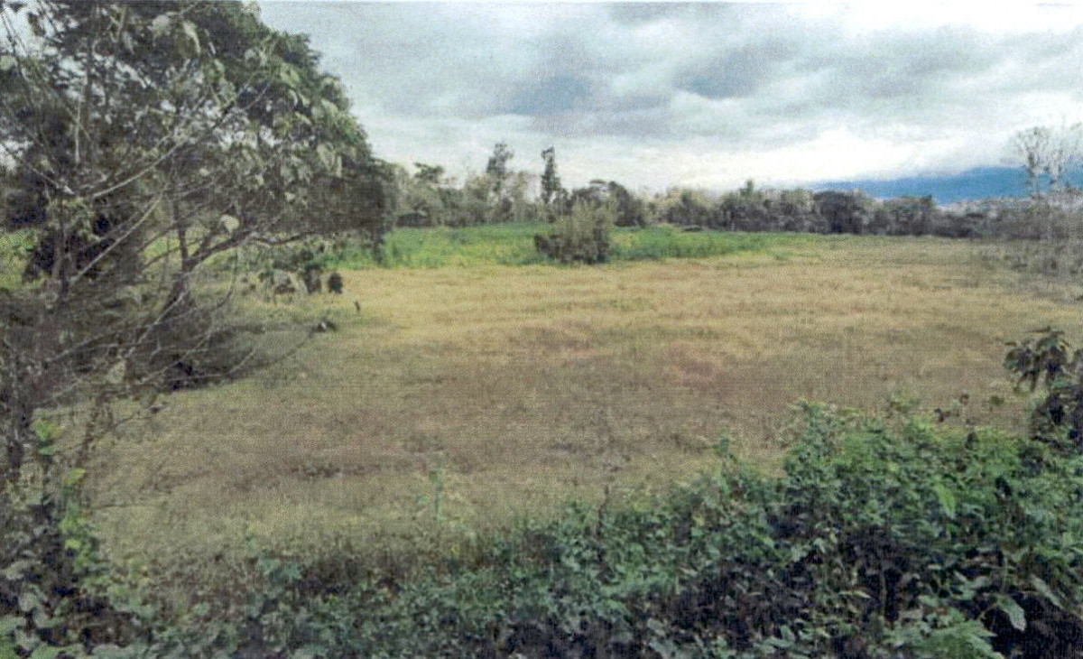 ที่ดินเปล่า ลำปาง แม่ทะ ดอนไฟ 264000