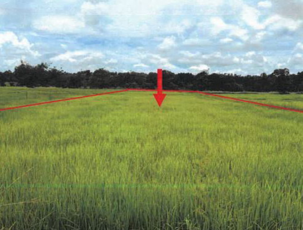 ที่ดินเปล่า ร้อยเอ็ด โพธิ์ชัย บัวคำ 340000