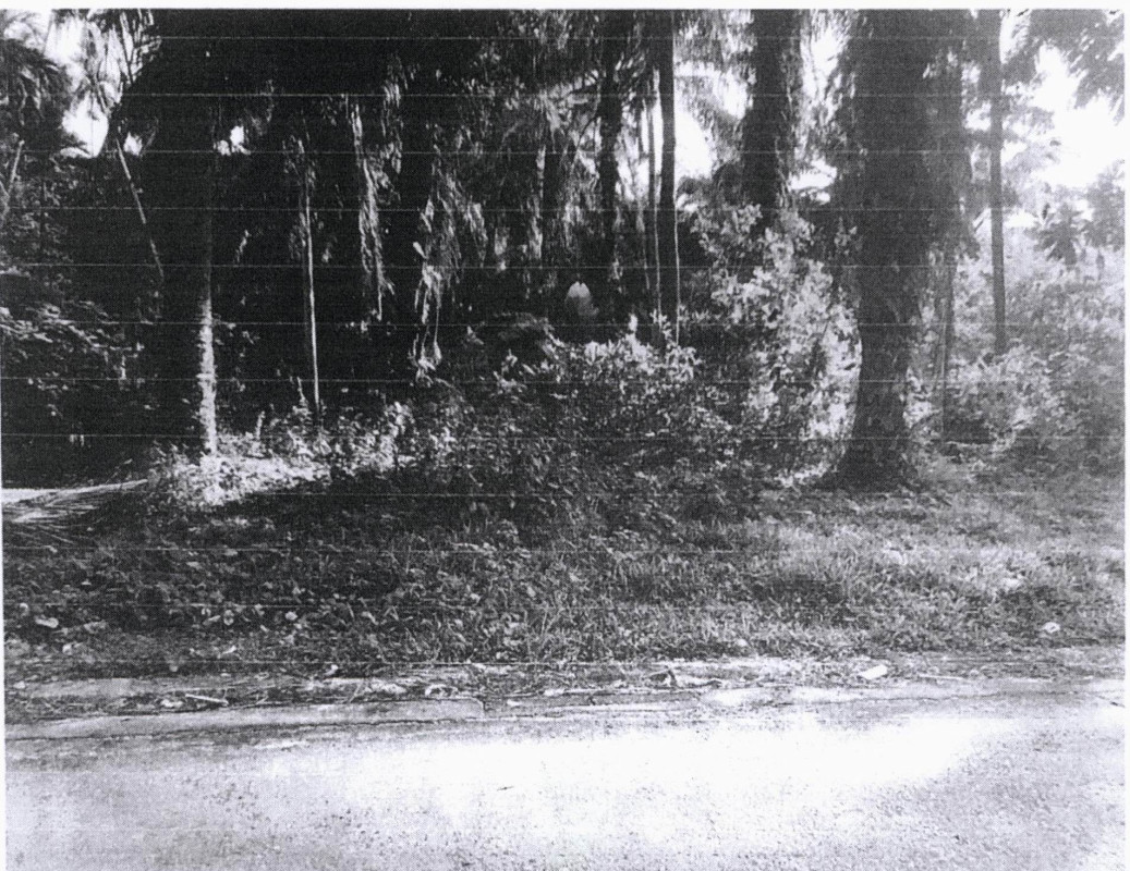 ที่ดินเปล่า ชุมพร ทุ่งตะโก ปากตะโก 974960