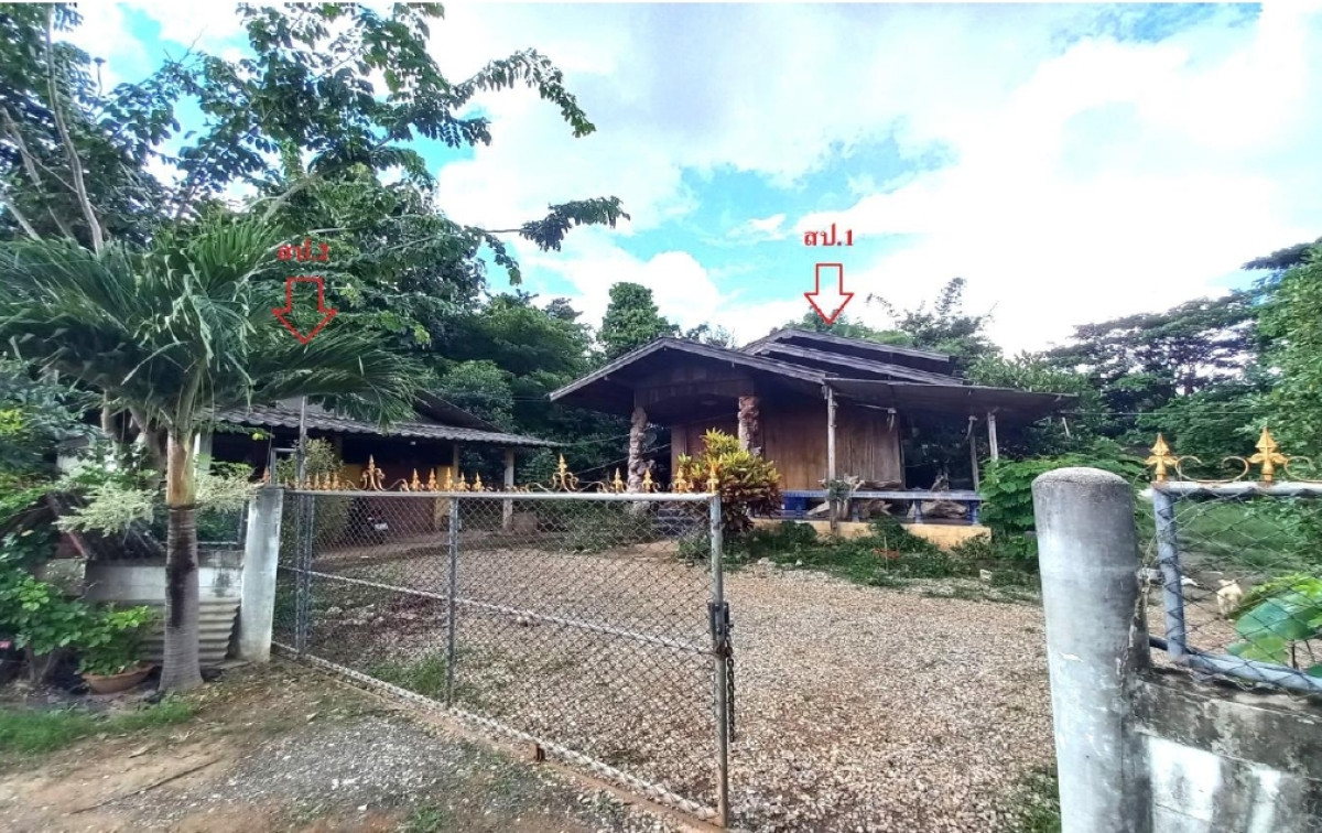 บ้านเดี่ยว พะเยา ดอกคำใต้ คือเวียง 1071380