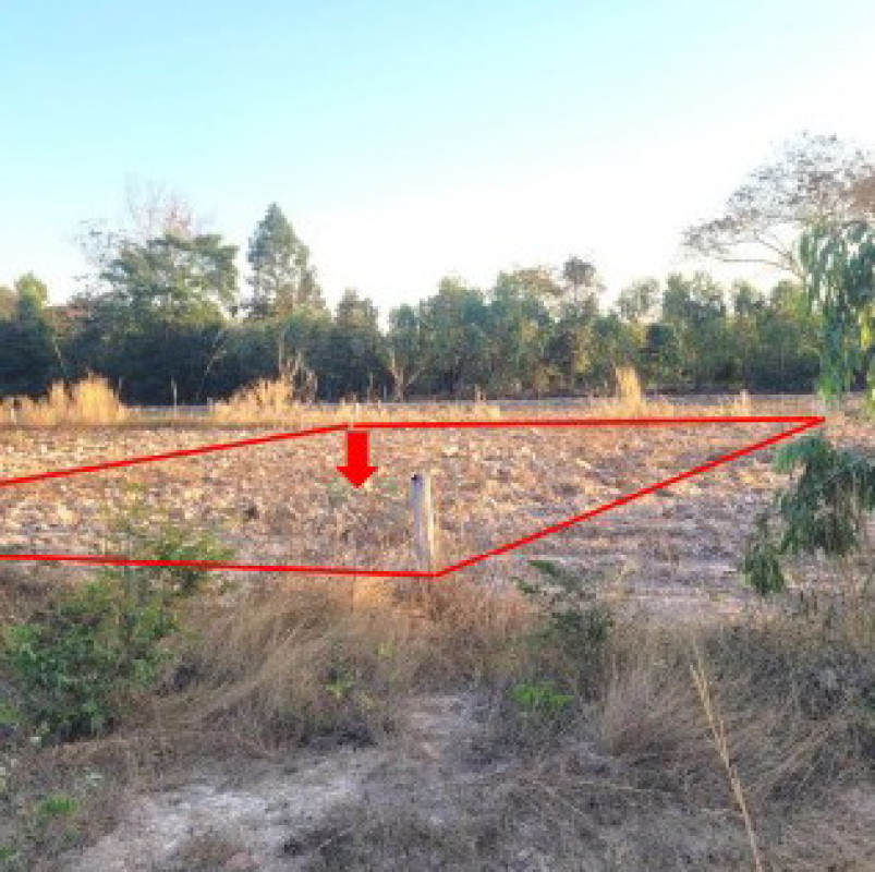 ที่ดินเปล่า อุบลราชธานี เหล่าเสือโก้ก หนองบก 90000