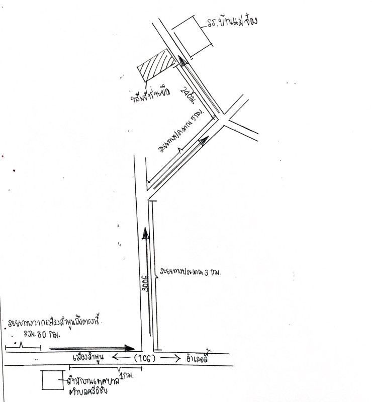 บ้านเดี่ยว ลำพูน ลี้ ศรีวิชัย 320000