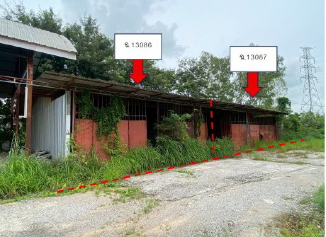 บ้านเดี่ยว กาฬสินธุ์ นามน ยอดแกง 1575000