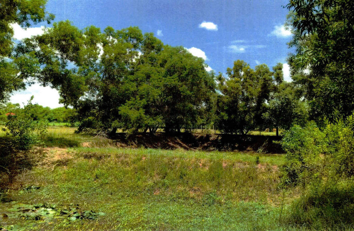 ที่ดินเปล่า ร้อยเอ็ด เมืองร้อยเอ็ด รอบเมือง 249280