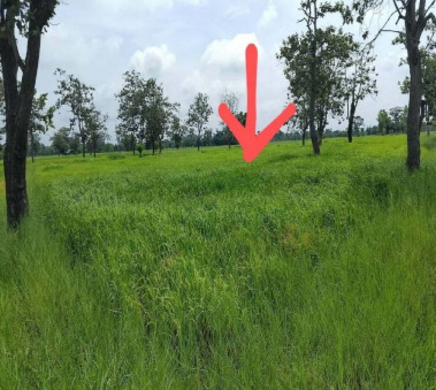 ที่ดินเปล่า ร้อยเอ็ด ธวัชบุรี อุ่มเม้า 197000